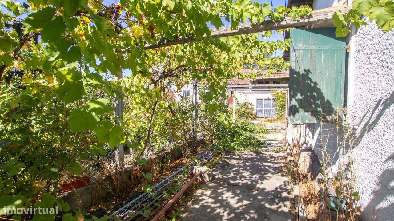 Fantástica Quinta com 3.450 m² a 3 km de Carregal do Sal-8