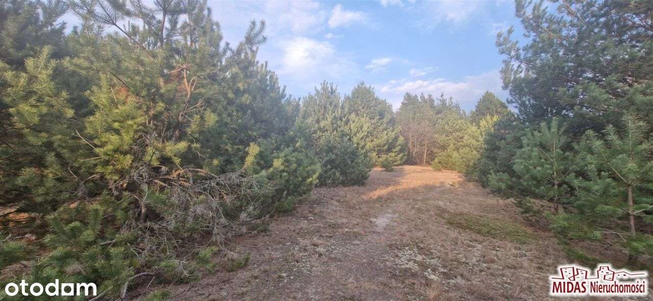 Działka, 1 200 m², Kowal-4