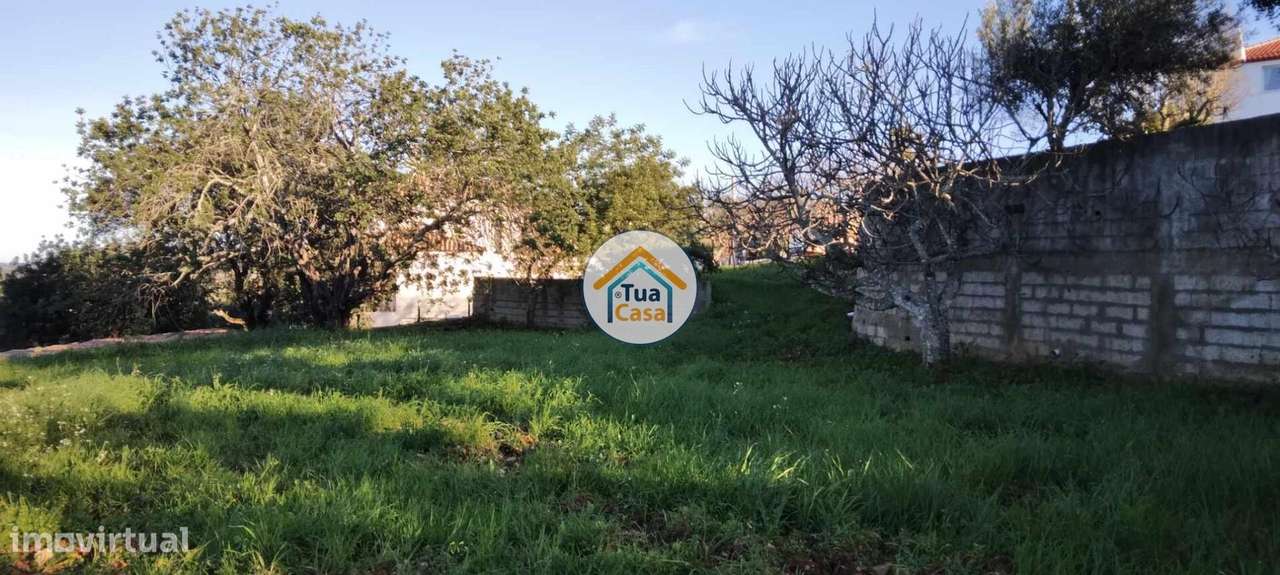 Terreno Rústico - Grande imagem: 4/16