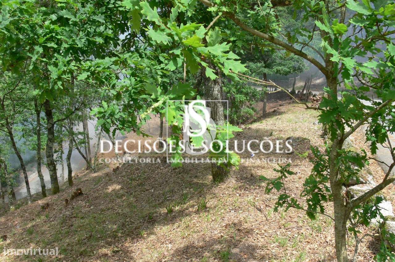 Terreno Não definido em Salamonde-9