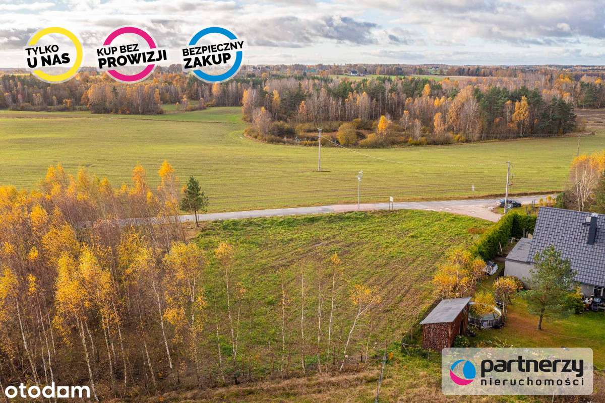 działka w Dąbrowie, gm. Stężyca, ob. Łosienice - Pełny obrazek: 4/17