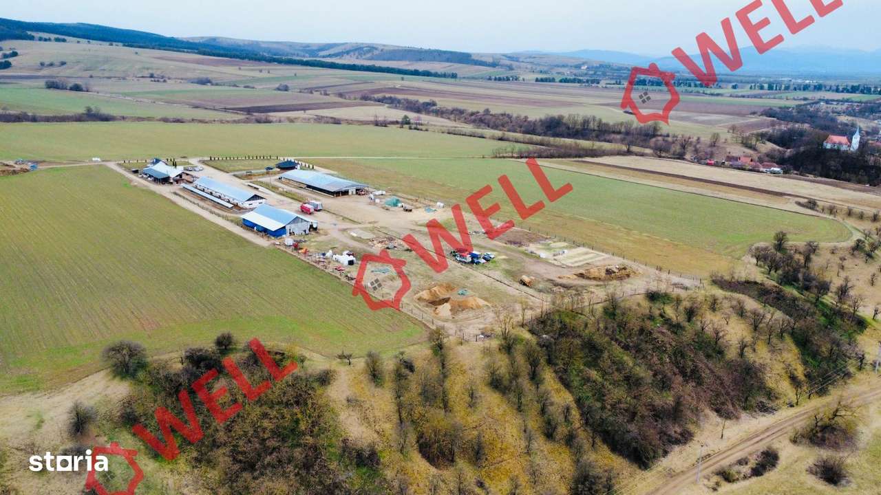 Ferma complet echipată de 22 de hectare de vânzare în Zoltan! - Imagine principală: 5/20