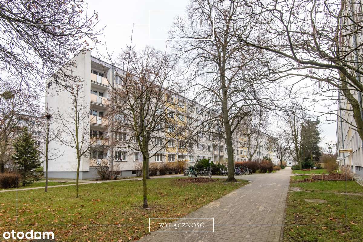 Perełka > 2 pokoje po generalnym remoncie > Rataje-10