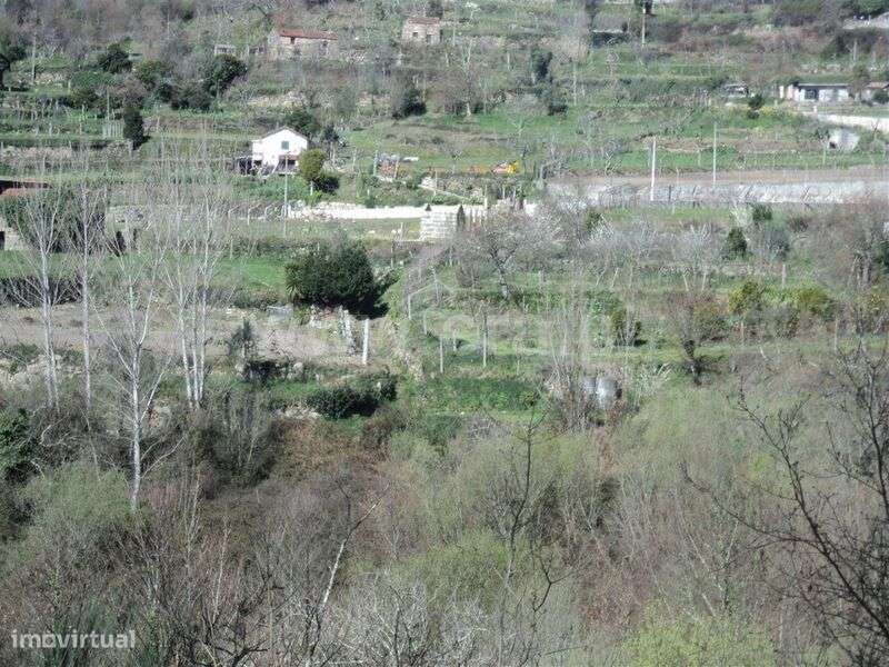 Terreno Rústico / Marco de Canaveses, Sande e São Lourenço - Grande imagem: 5/5