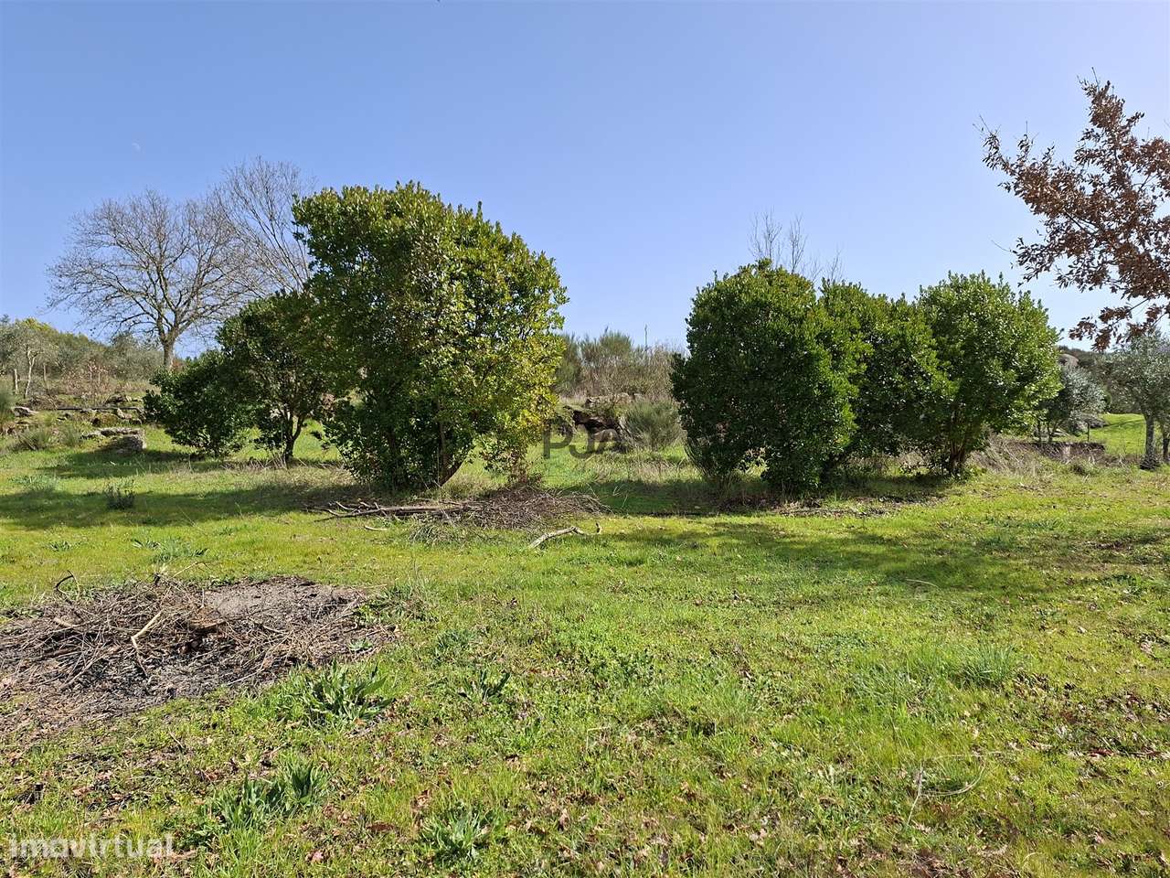 Quinta com 2Ha em Vila Cortês da Serra, Gouveia-17