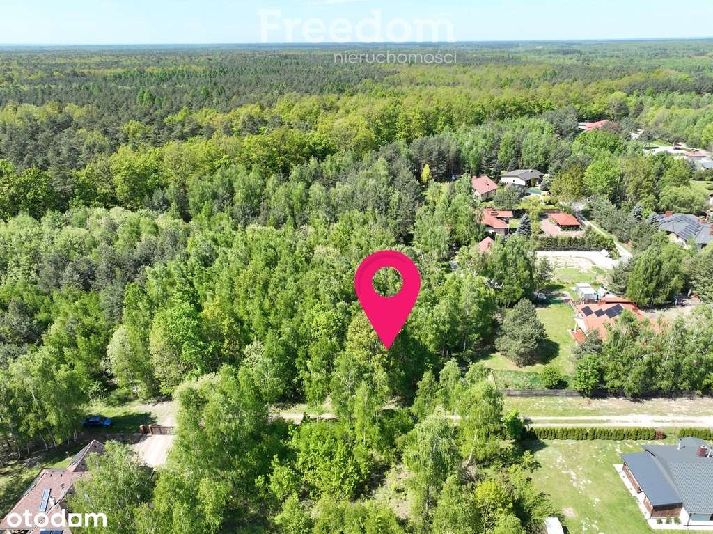 Działka rekreacyjna w otulinie Bolimowskiego Parku - Pełny obrazek: 4/13