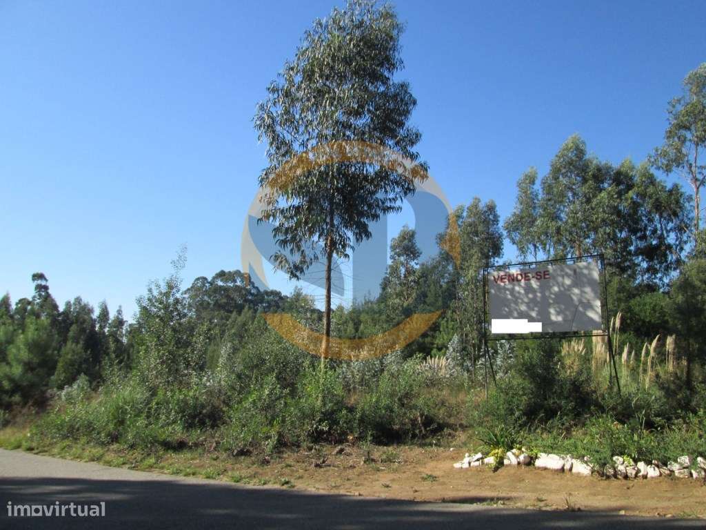 Terreno Industrial e de Construção Urbana - Grande imagem: 2/2