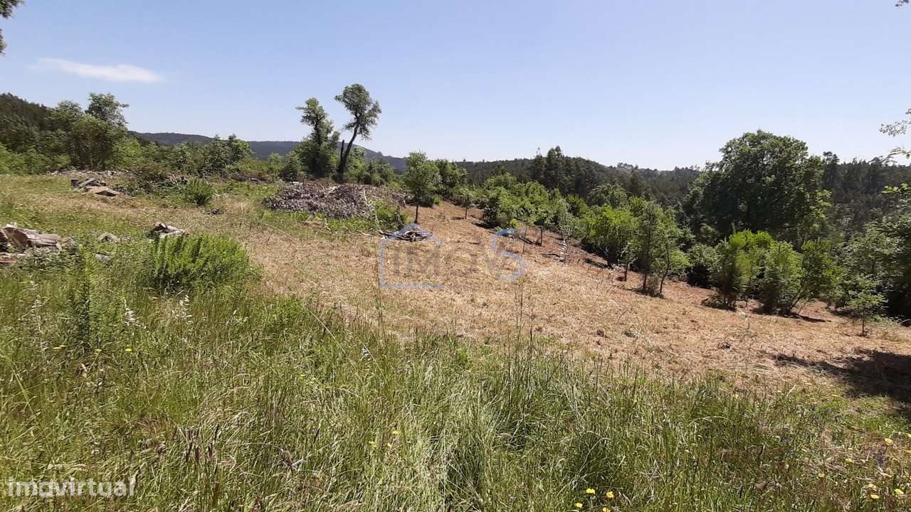 Terreno com Projeto Aprovado para Moradia em Besteiras – Águas Belas-14