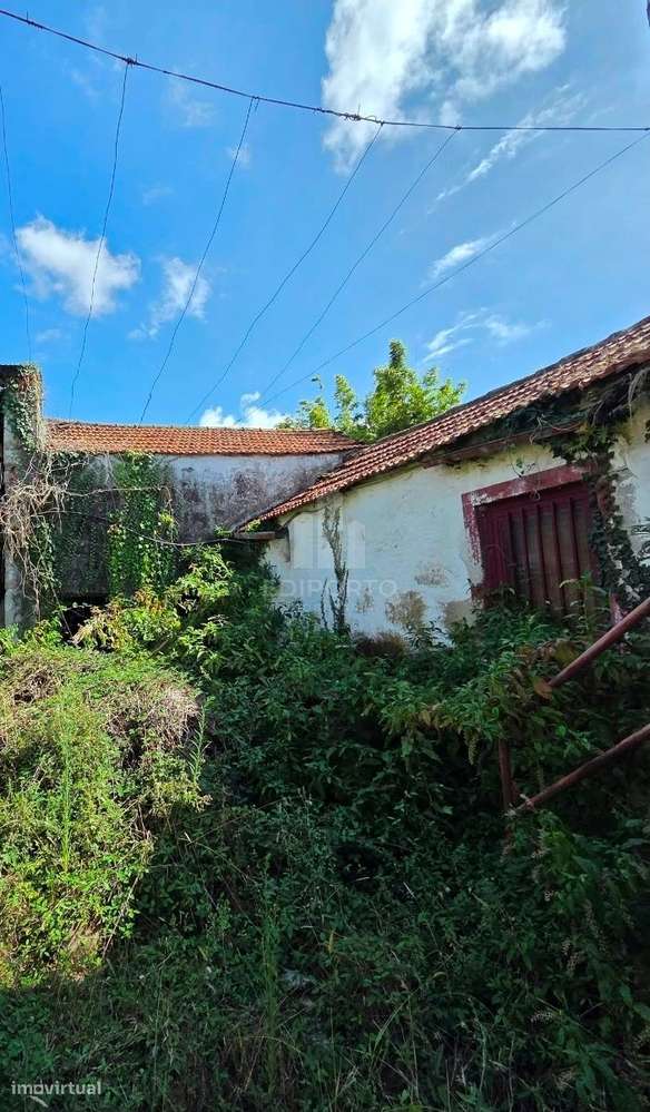 Para investidores 5 moradias -  oportunidade em Oliveira do Douro- Vil-15