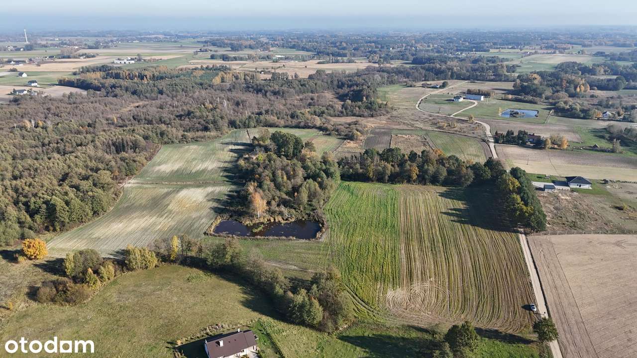 Działki budowlane – Ostrowite, gm. Lipno 3100–3400m²-1