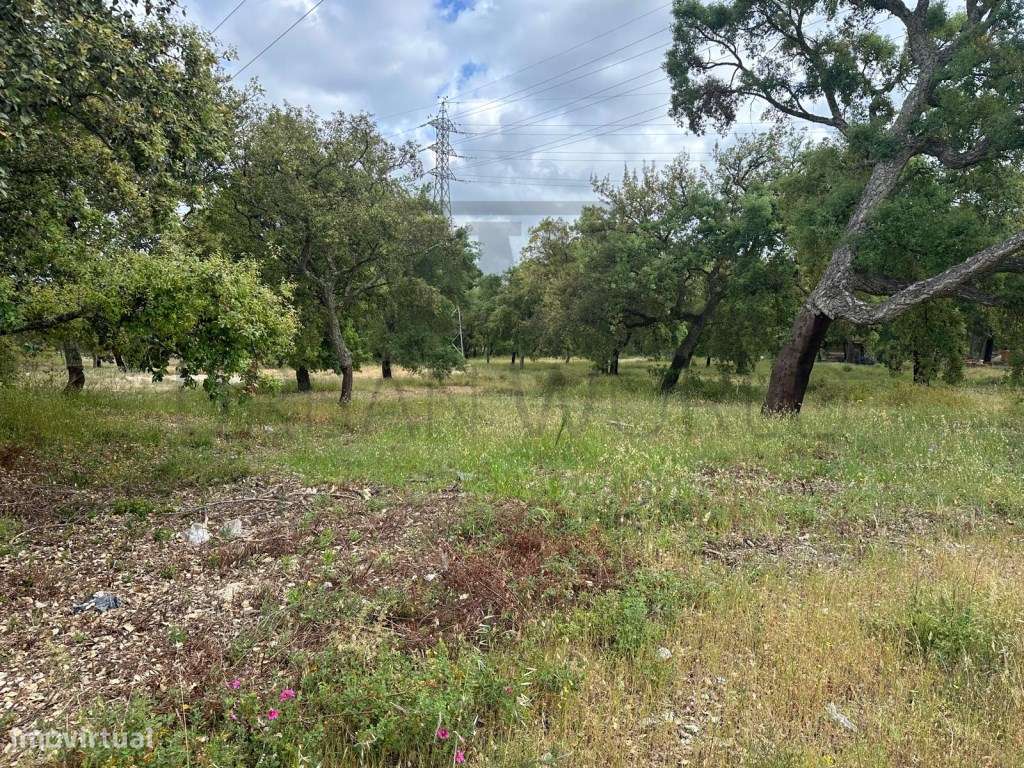 Terreno Industrial C/ PIP Aprovado, Palmela - Setúbal, 10.471 m2-6