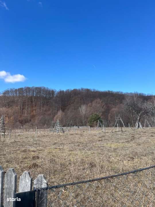 Teren Cicanesti Arges, la 10 KM de Transfagarasan - Comision 0% - Imagine principală: 1/4