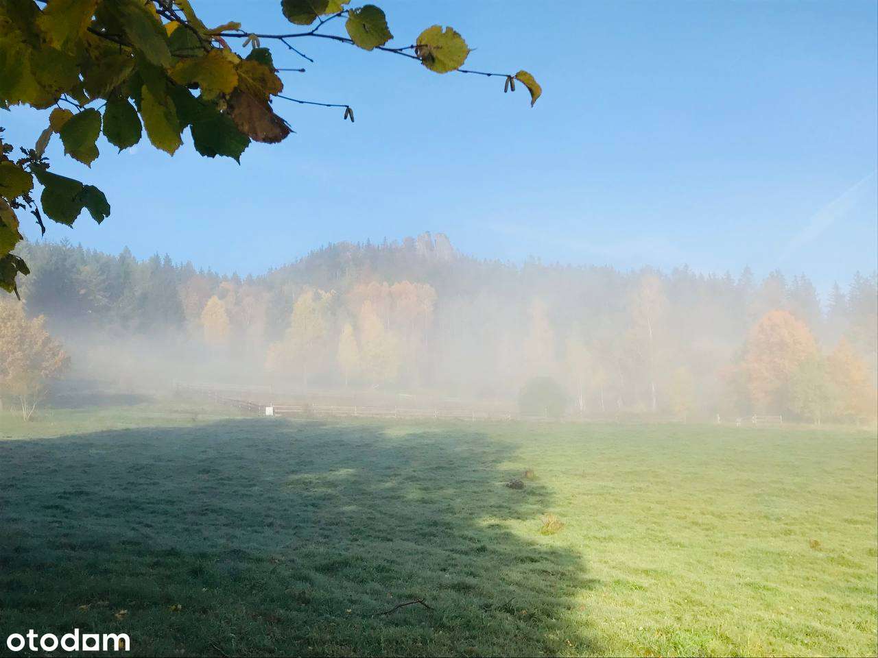 unikalna działka na Górze Sokolik w Rudawach Janowickich - Pełny obrazek: 5/20