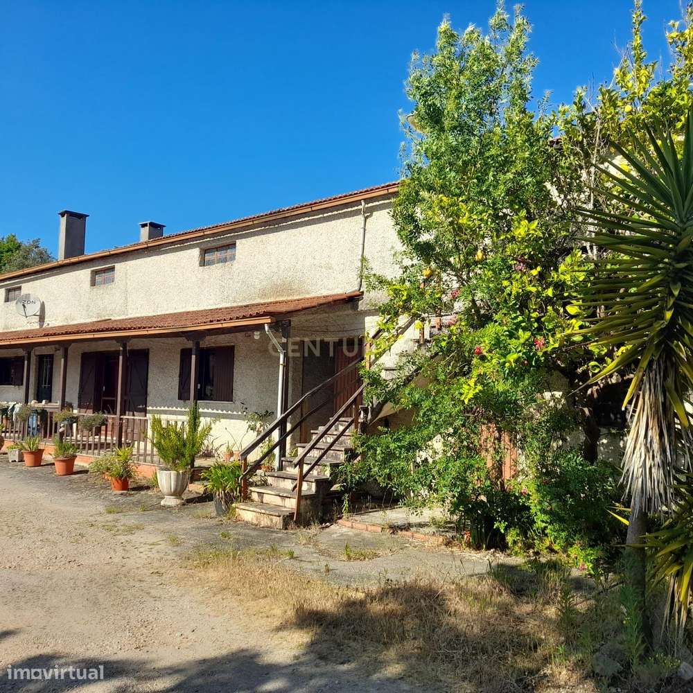 Casa Térrea Aguda - Grande imagem: 4/6