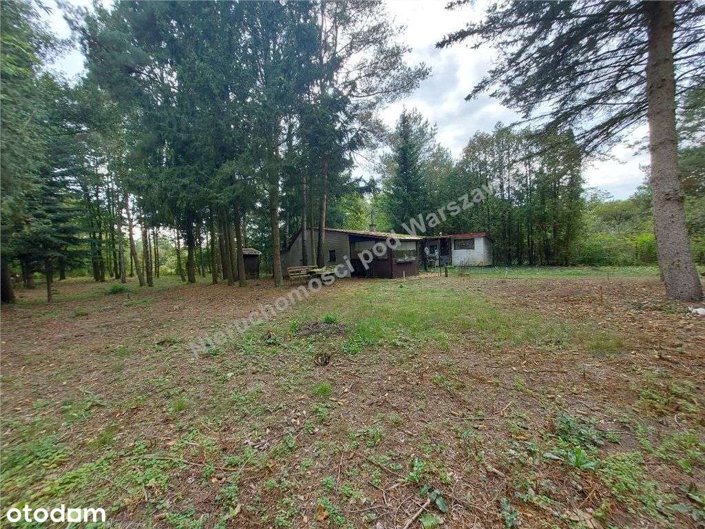 Cisza, Zieleń, Rzeka I Ona - Działka W Łosiu.-10