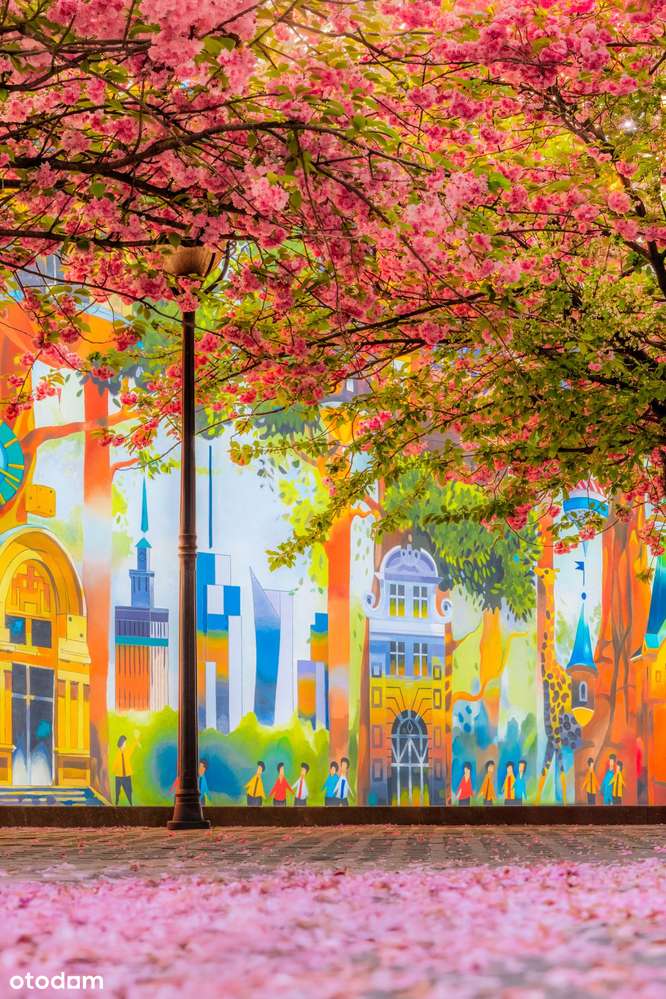 3-pokojowe mieszkanie 57m2 + balkon Bez Prowizji - Pełny obrazek: 1/8