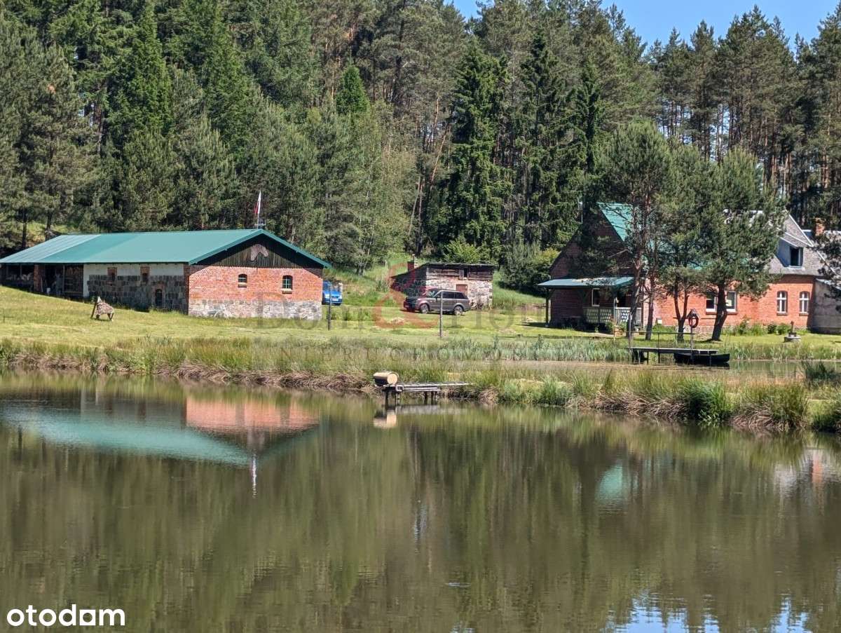 Raj dla duszy -  slow life Bory Tucholskie - Pełny obrazek: 4/20