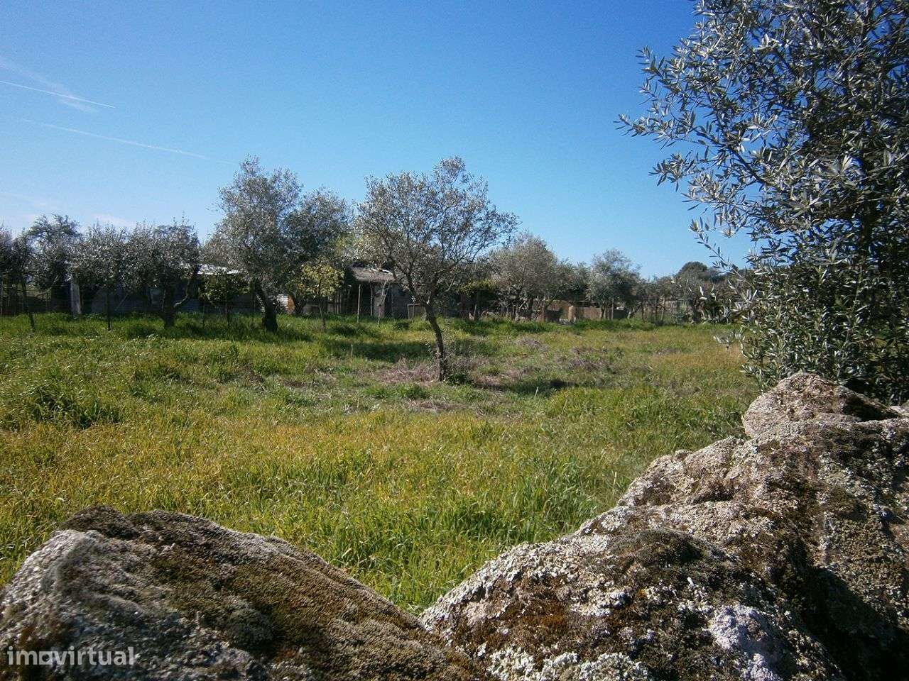 Terreno - Grande imagem: 3/6