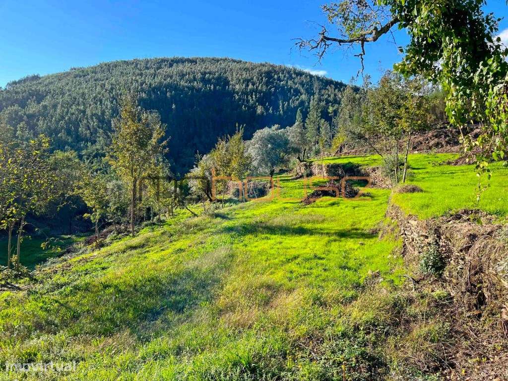 Quinta Isolada com Margem de Rio e Potencial de Eco-Retiro - Arouca-22