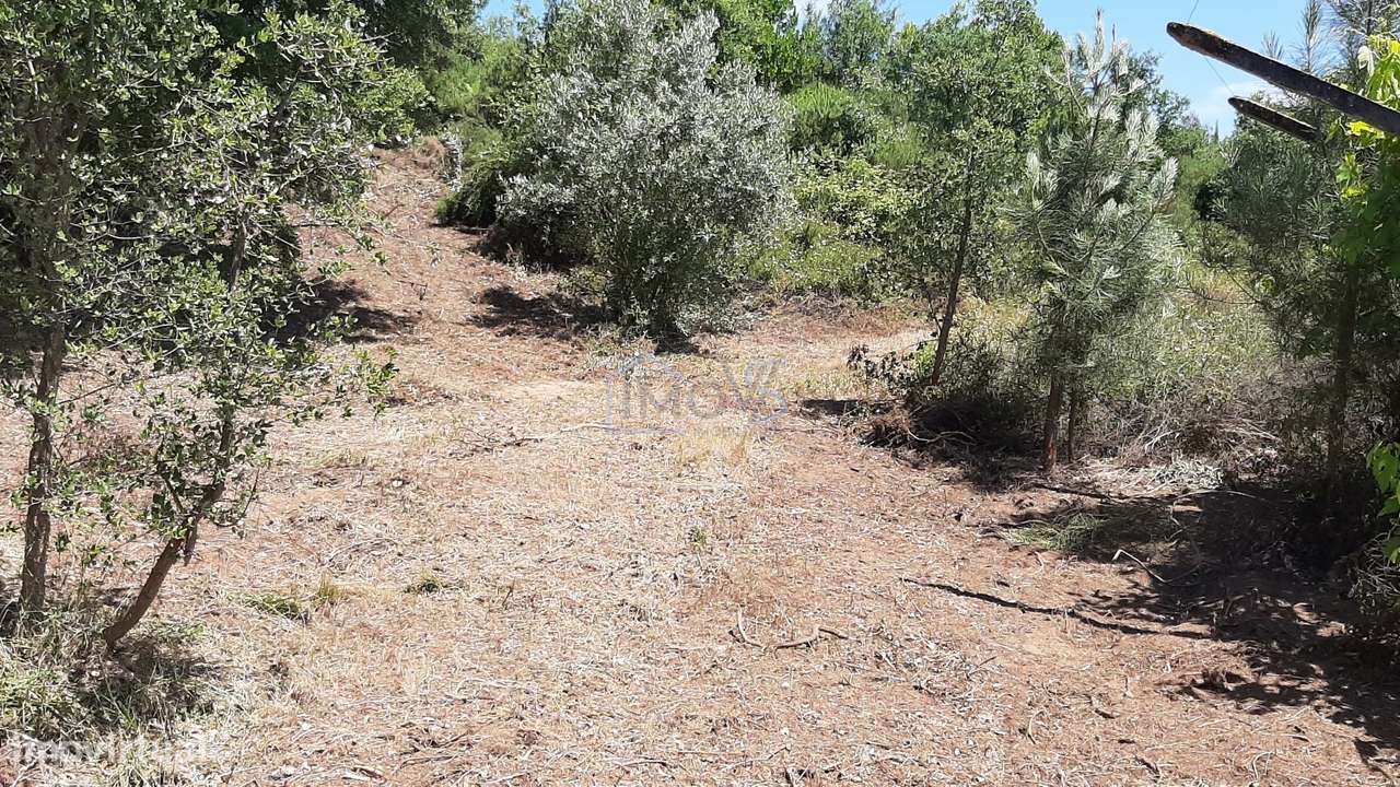 Terreno com Projeto Aprovado para Moradia em Besteiras – Águas Belas-20