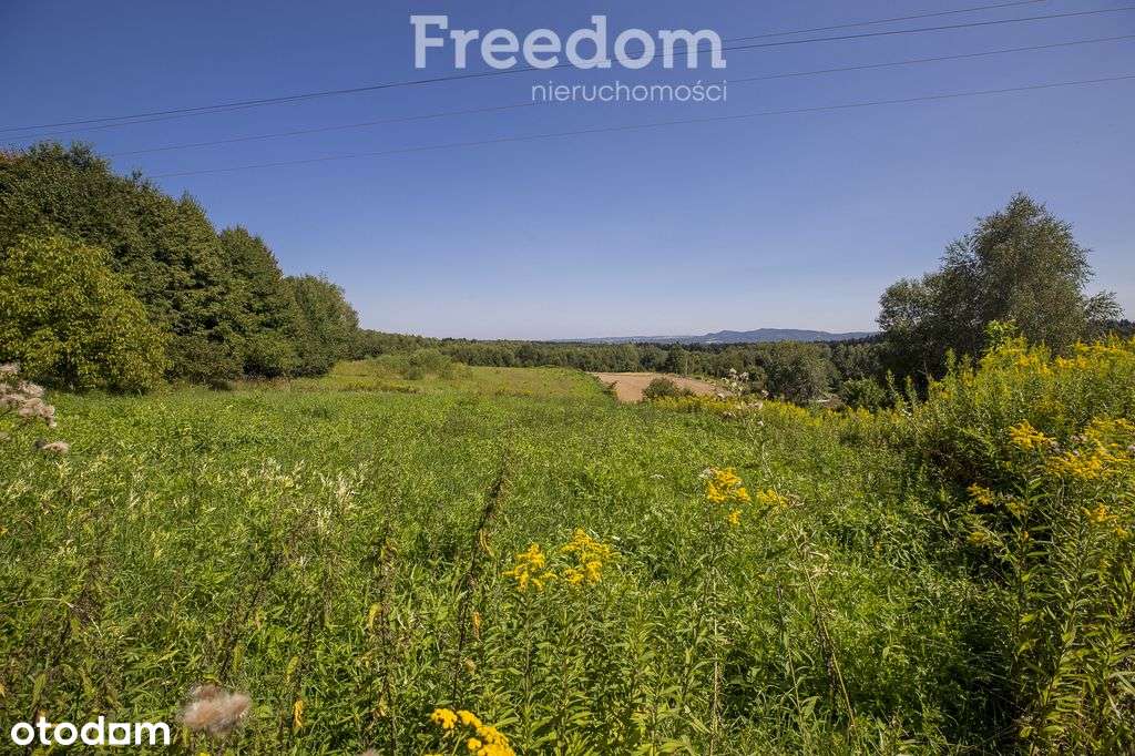 Dom z dużą działką 32 ar – Gębiczyna-18