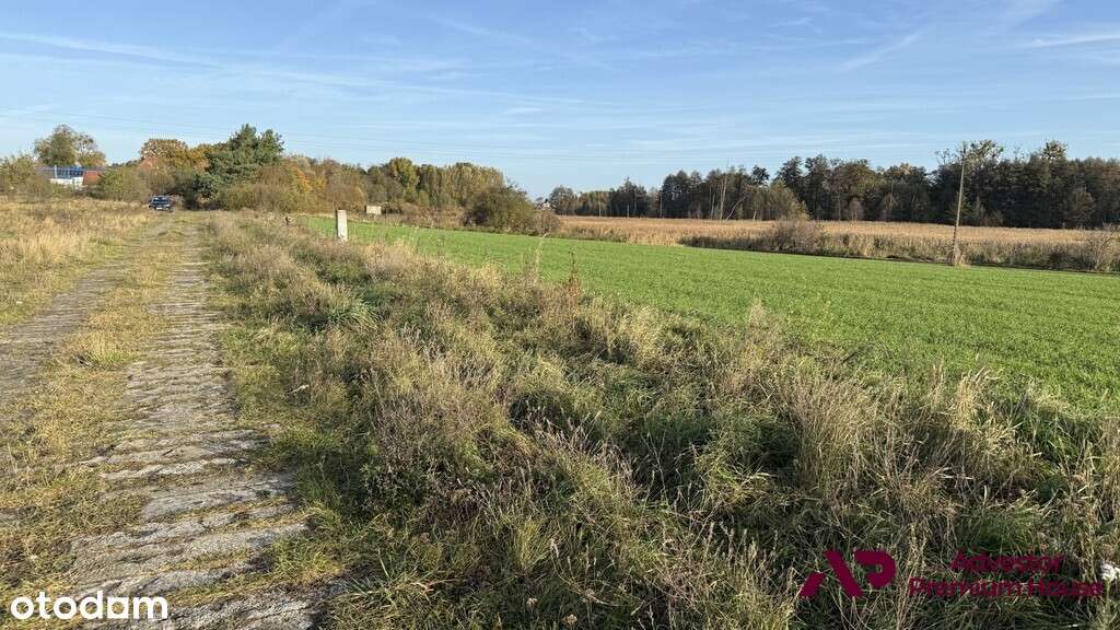 Działka z możliwością podziału blisko lasu-5