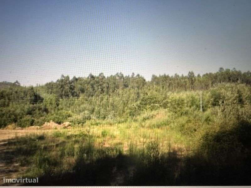 Terreno Rustico  com quase 25000m2 - Grande imagem: 4/10