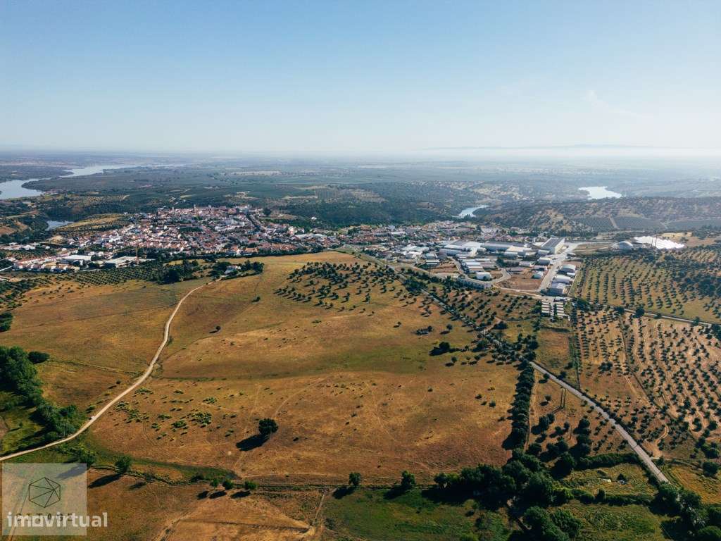 Terreno de olival em Avis - Grande imagem: 2/17