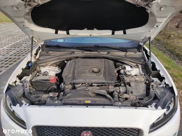 Jaguar F-Pace 2.0 i4D RWD Pure - 19