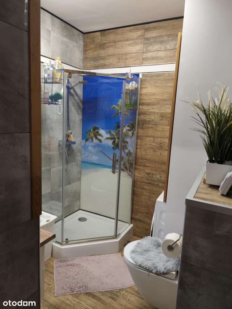 Bezczynszowe słoneczne mieszkanie - Pełny obrazek: 5/12