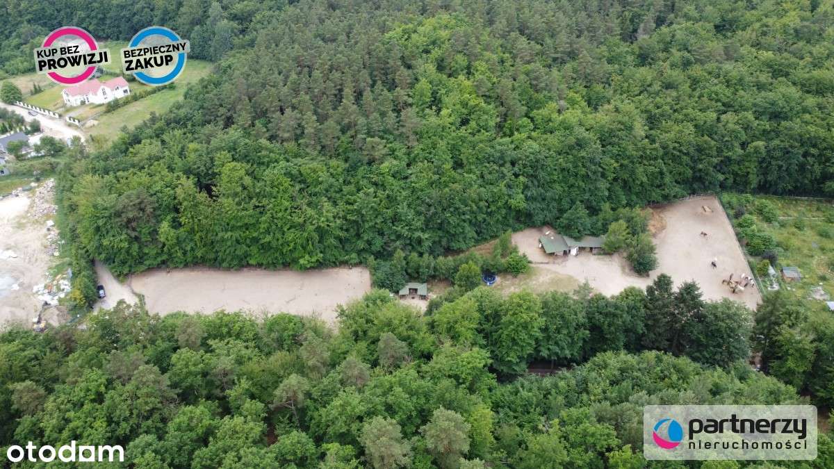 Wyjątkowy teren otoczony lasem Polana Bernadowo - Pełny obrazek: 4/8