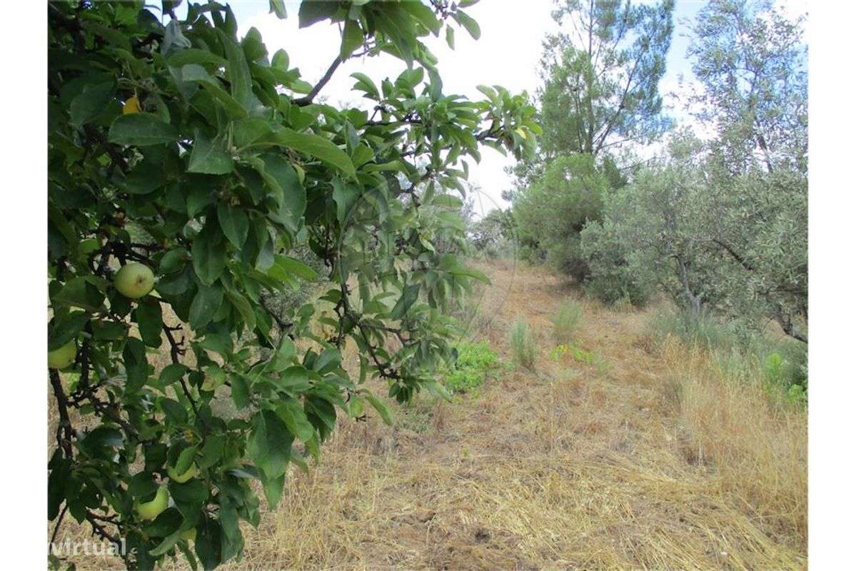 Quinta T0 para venda - Grande imagem: 3/22