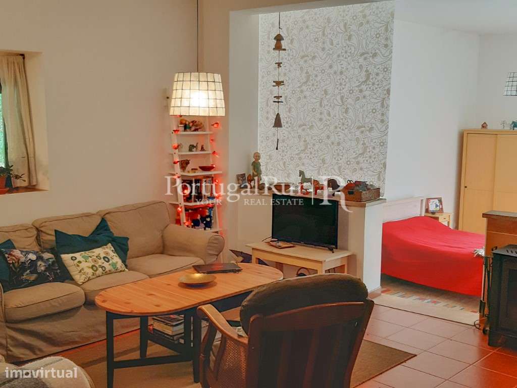 Quinta Rural 8.000 m2 - 2 Casas Habitáveis - confina com Ribeira-6