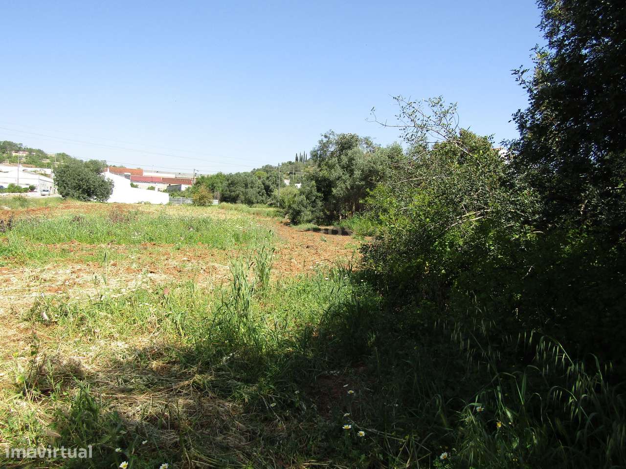 Terreno Rústico em Boliqueime - Grande imagem: 3/5