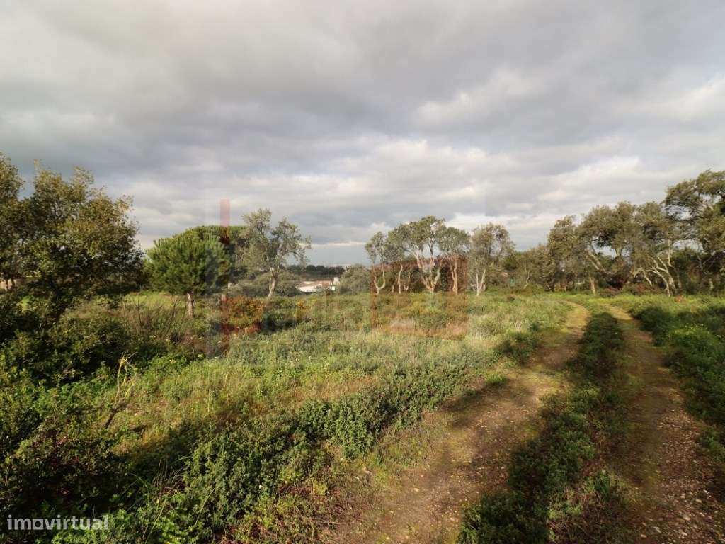 TERRENO COM 5.5HA ALCOCHETE-5