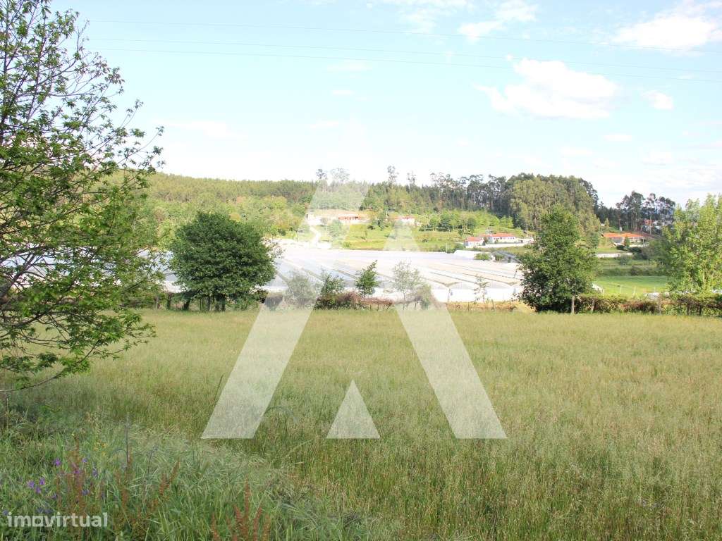 Quinta T6 histórica para recuperação, Guimarães.-29