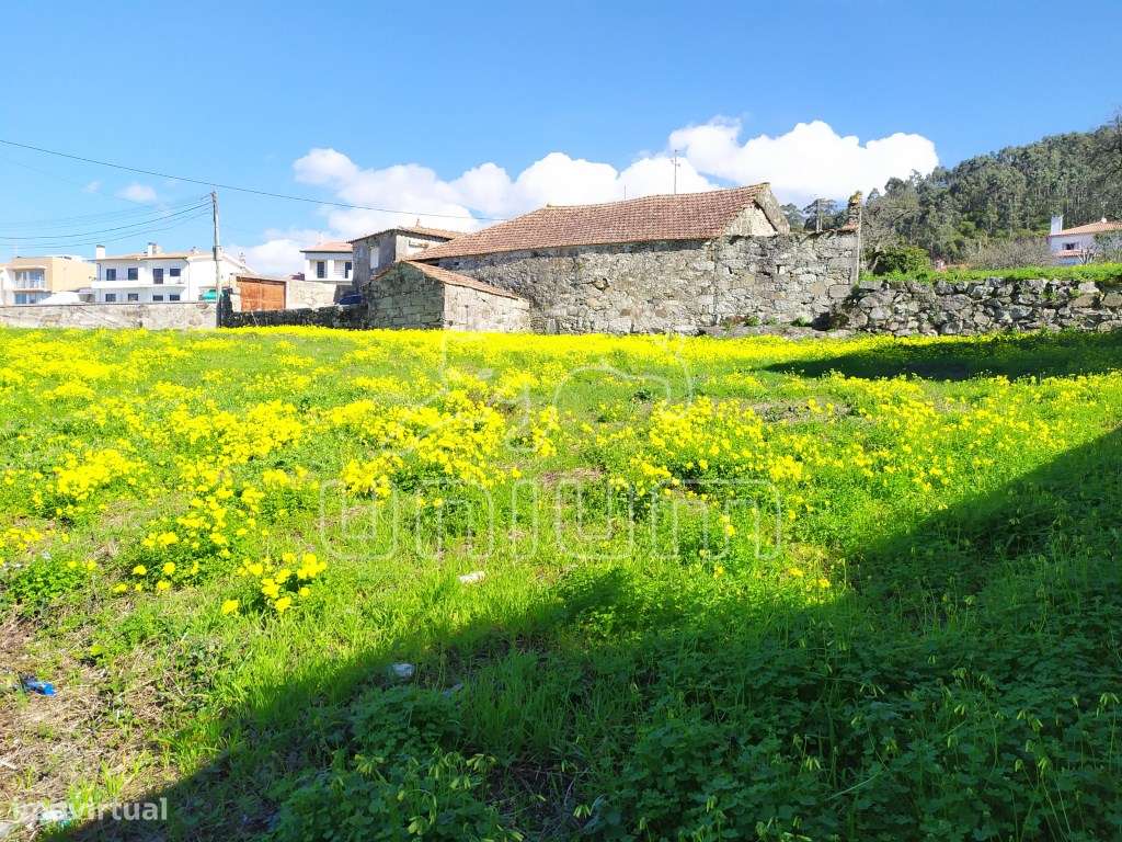 Lote Areosa, Viana do Castelo - Grande imagem: 3/10