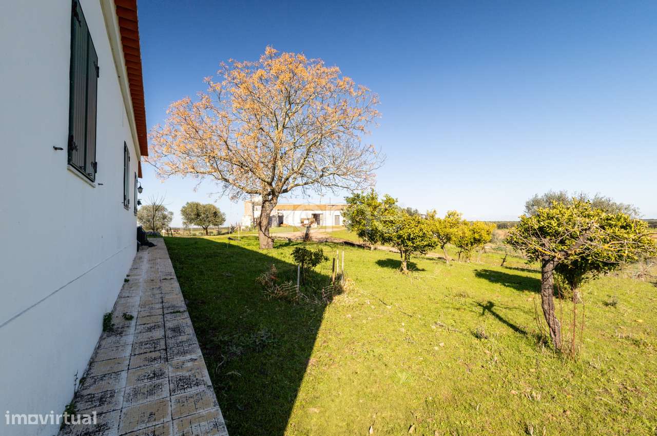 Monte Alentejano em Brinches (Serpa)-21