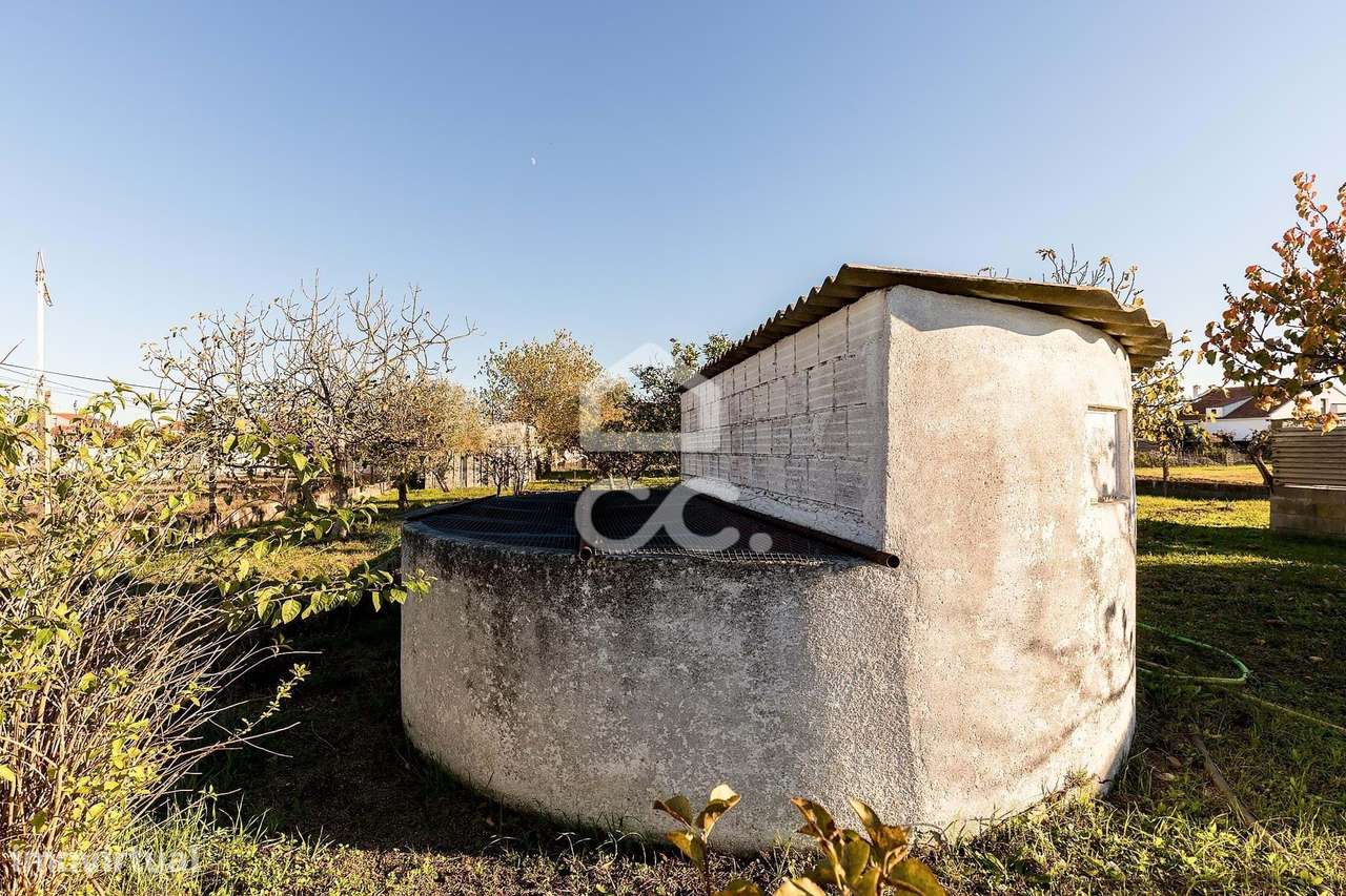 Terreno de  1.350 m² c/ Anexo de Apoio Agrícola | Canaviais, Évora-15