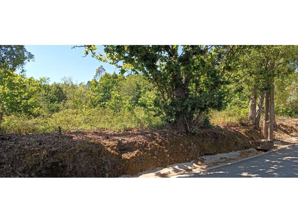 Terreno para construção - Requeixo - Grande imagem: 4/10