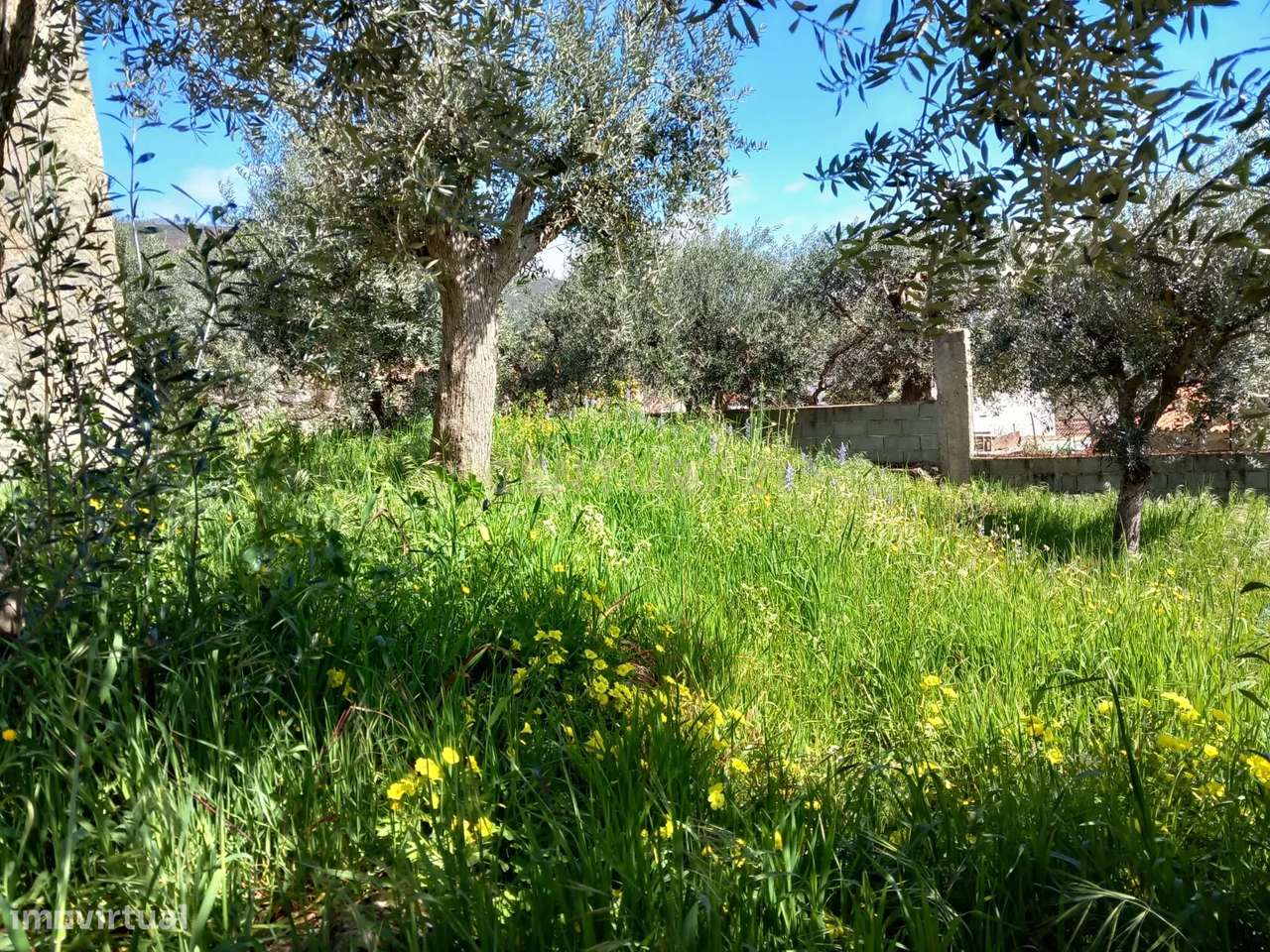 Terreno Rustico Alpedrinha - Grande imagem: 4/6