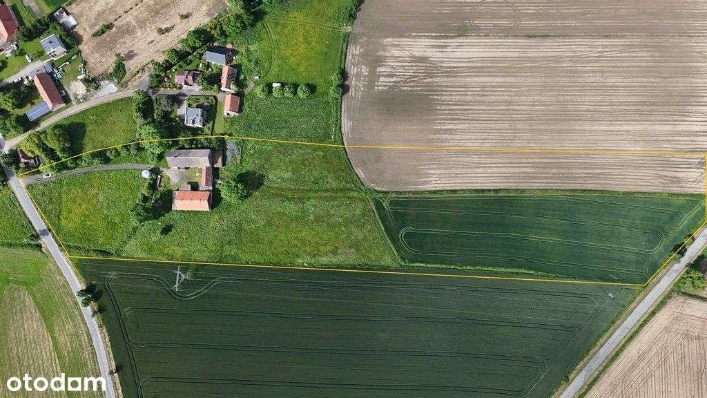 Do sprzedania dworek/gospodarstwo! Duża działka! - Pełny obrazek: 5/14