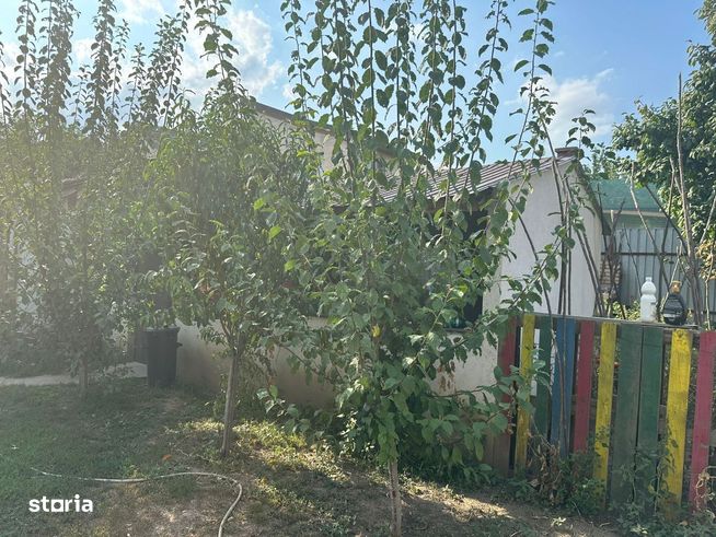 Casa si teren zona teatrul Maior Gheorghe Pastia, Focsani, jud Vrancea-7