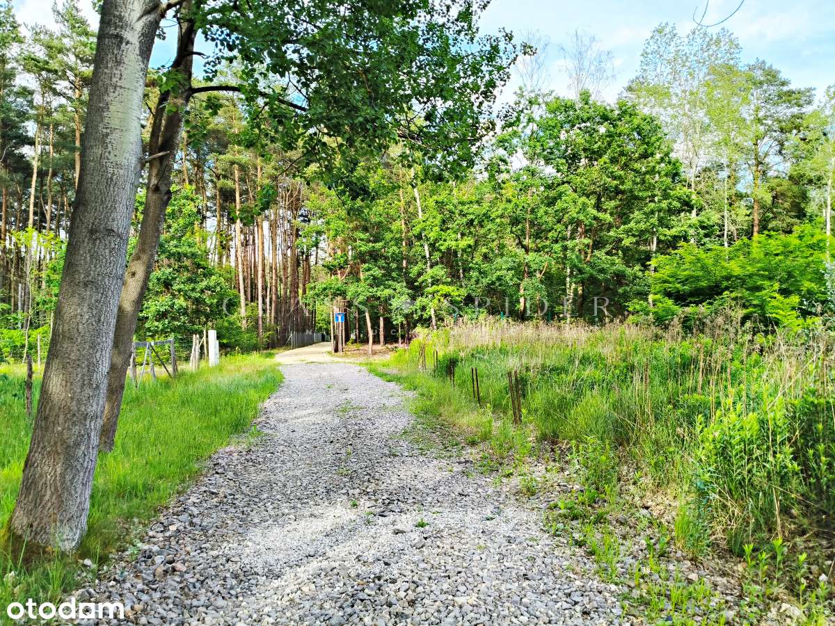 Terreno, 1117 m²