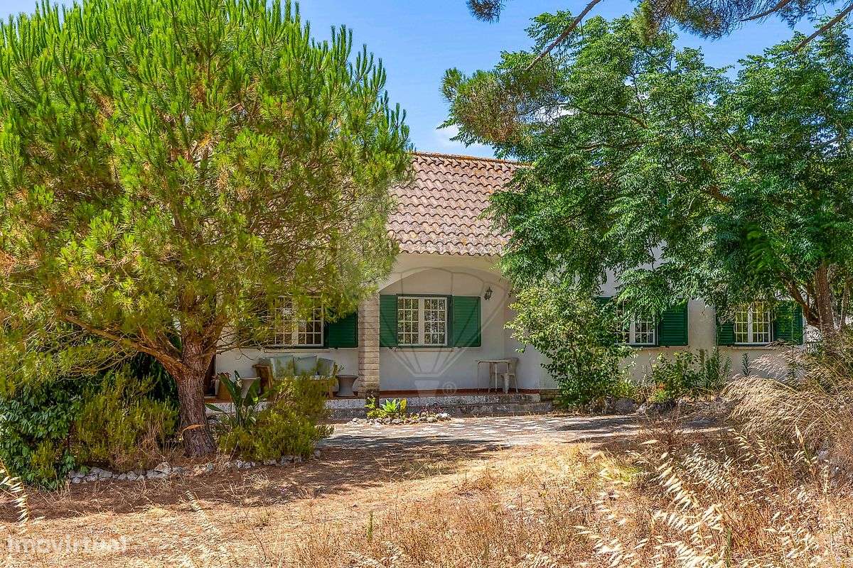 Quinta T3 para venda - Grande imagem: 3/50