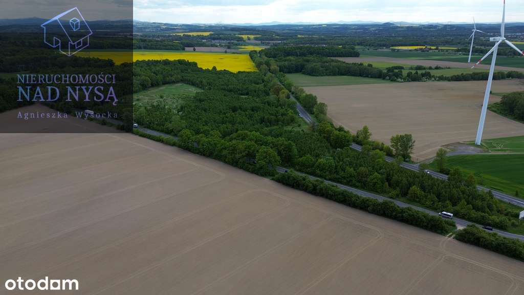 działka produkcyjno - usługowa! pow. 53 600 m2! - Pełny obrazek: 5/5