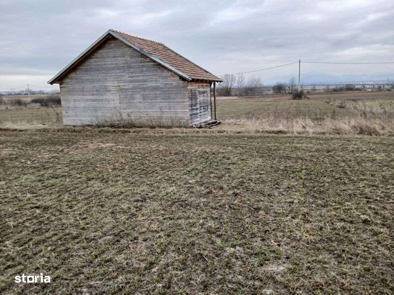 Teren agricol linga sibiu  cu cabana - Imagine principală: 5/6