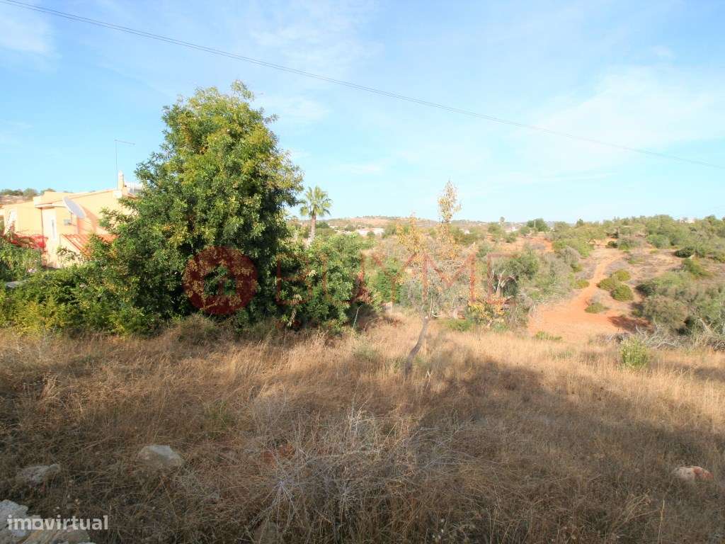 Terreno rústico com 2.400m2 - Grande imagem: 3/6