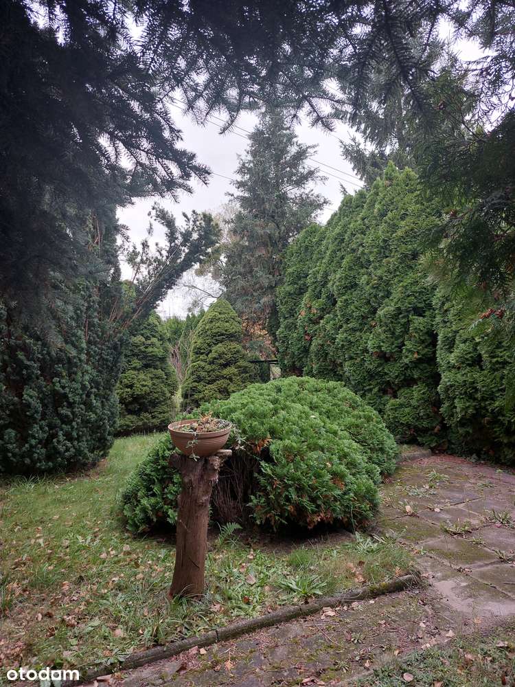 Plewiska wyposażone, zadbane 66m2 z garażem, ogródkiem, pom. gosp. Ip.-16