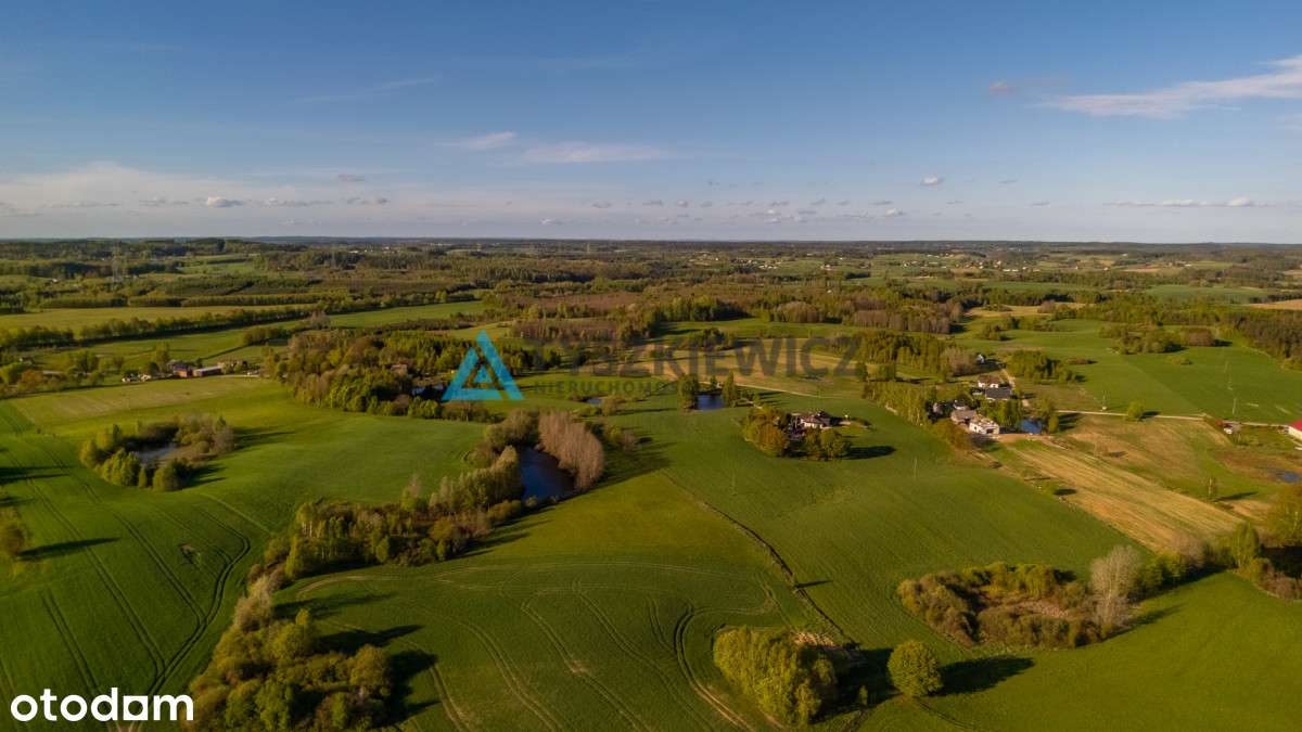 Duża działka w Grabowskiej Hucie na sprzedaż - Pełny obrazek: 4/20